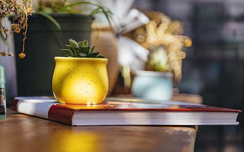 洪湖小學學歷提升后可以考編制嗎？怎樣提升？