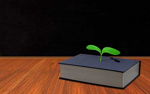 ?自考本科會計學歷可以報名公務員?嗎？推薦選擇什么專業？