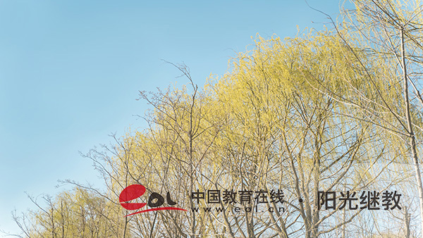 長垣自考去哪報名?如何準備考試? 長垣自考去哪報名?如何準備考試?