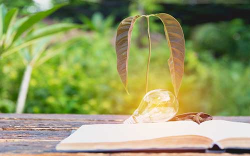 報名自考需要哪些條件?怎么復習? 報名自考需要哪些條件?怎么復習?