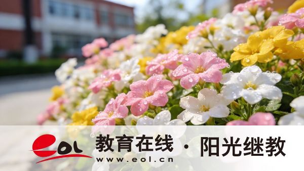 2026年山東天橋自考有哪些優勢？報名流程是什么？